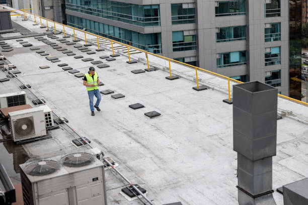 Best Skylight Installation and Repair  in Avondale Estates, GA
