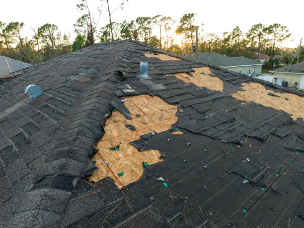 Best Roof Moss and Algae Removal  in Avondale Estates, GA